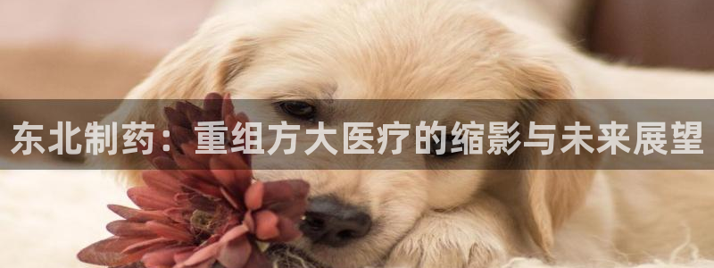 恒行2朱74OOO5