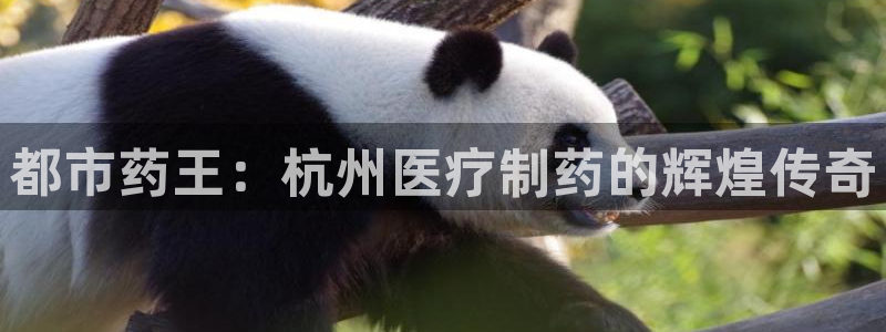 恒行娱乐寻问74 5