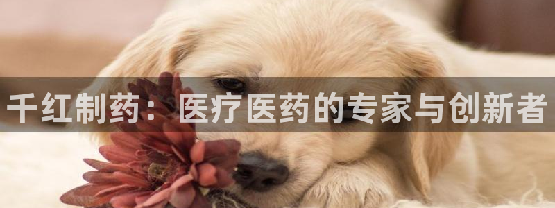 恒行娱乐郑74OOO5