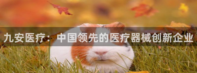 恒行2乃5O6917