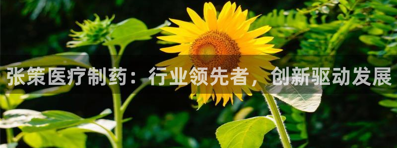 恒行娱乐毓婆74ooo5仪