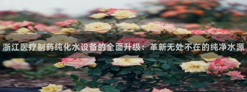 恒行代理总代主导 6ll5l