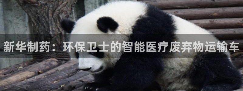 恒行2陈74OOO5