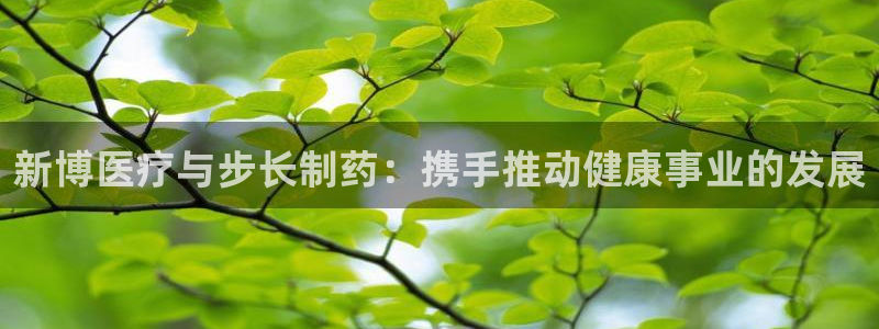 恒行娱乐5ll533主管正直