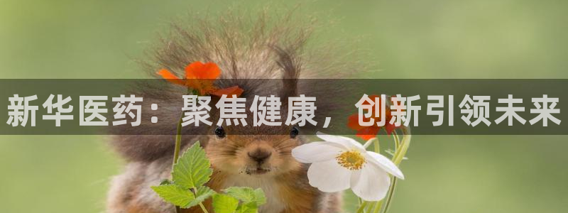 恒行注册全2O5O5O