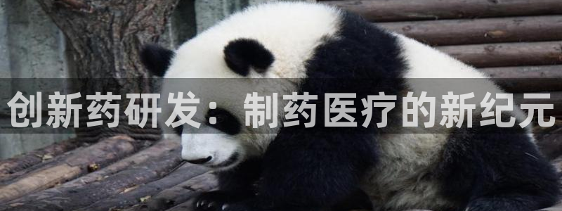 恒行注册全2O5O5O