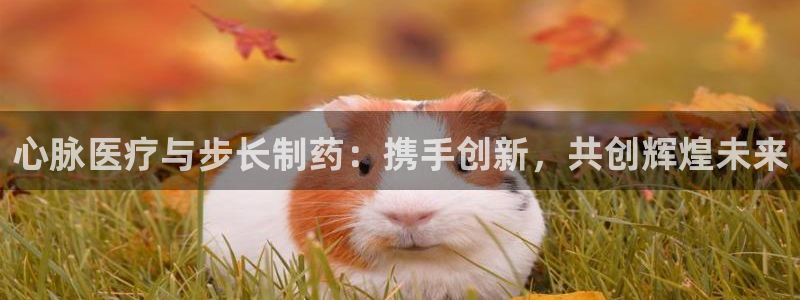 恒行主管总代6ll5l周至