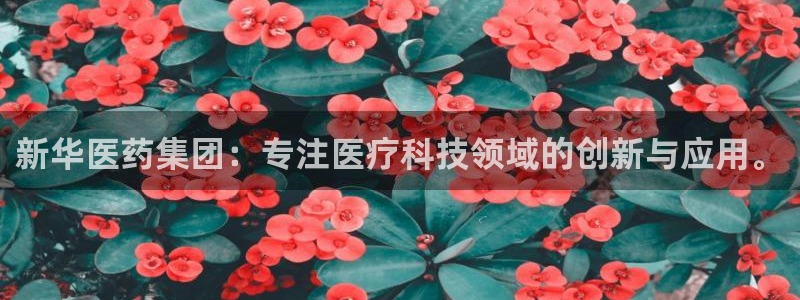 恒行娱乐景74ooo5诿抢