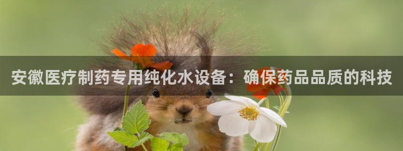 恒行主管首问6ll5l