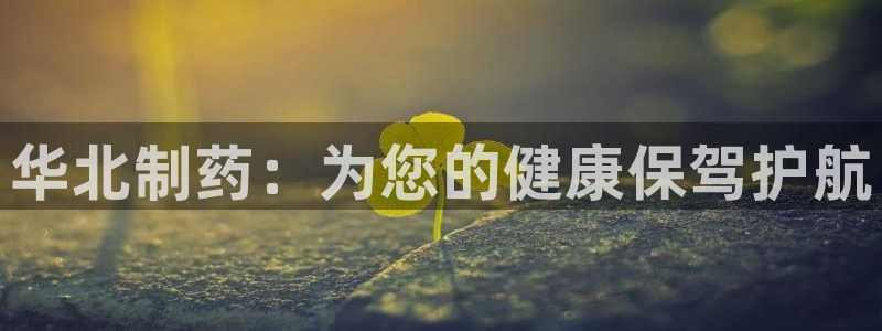 恒行登录老大6ll5l典型