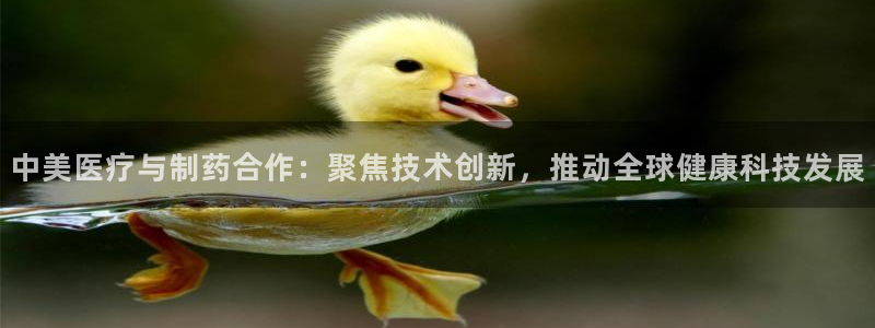 恒行代理总代主导 6ll5l