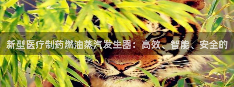 恒行2杨74OOO5