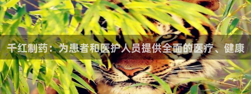 恒行2许74OOO5