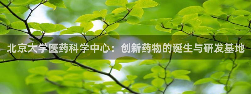 恒行登录就搜6ll5l